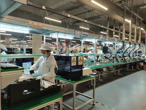 兩江新區(qū)軟件和信息服務(wù)業(yè)加速復(fù)工復(fù)產(chǎn)，信息服務(wù)業(yè)務(wù)迎來新發(fā)展