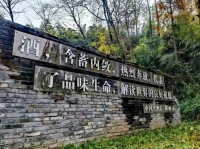 釀酒質量大賽獲獎產品企業推薦：源窩子酒天臺山下的林藏老酒