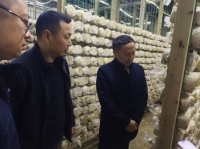 四川省微生物學會專家調研服務食用菌企業 共促食用菌產業發展鄉村振興